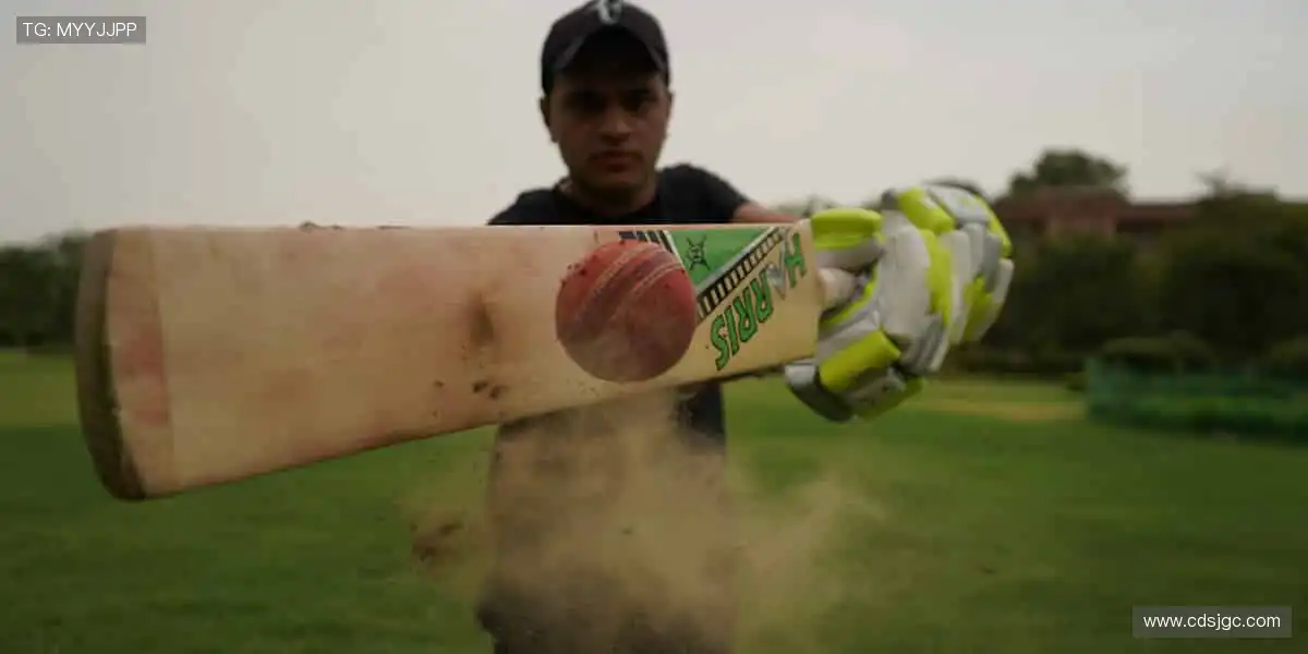 🎮 虚拟赛场,与全球高手同场竞技!🎯